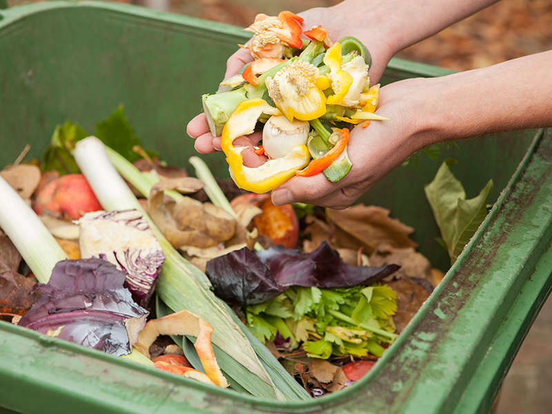 Organic Food Waste recycling.